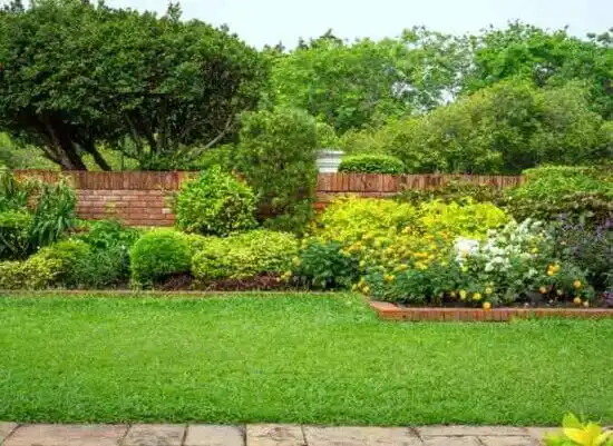 landscaping services Bayonne